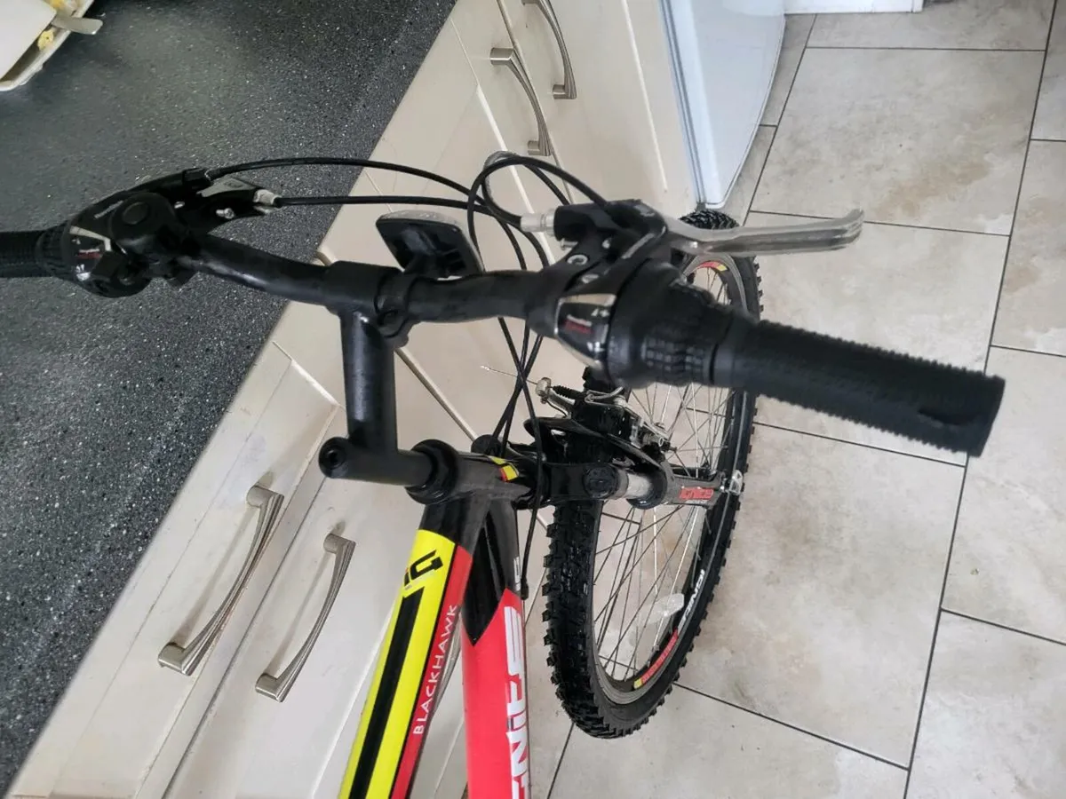 Bike - Image 2