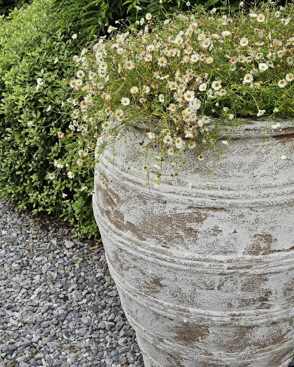 Large Garden Pot Urn Planter - Image 3