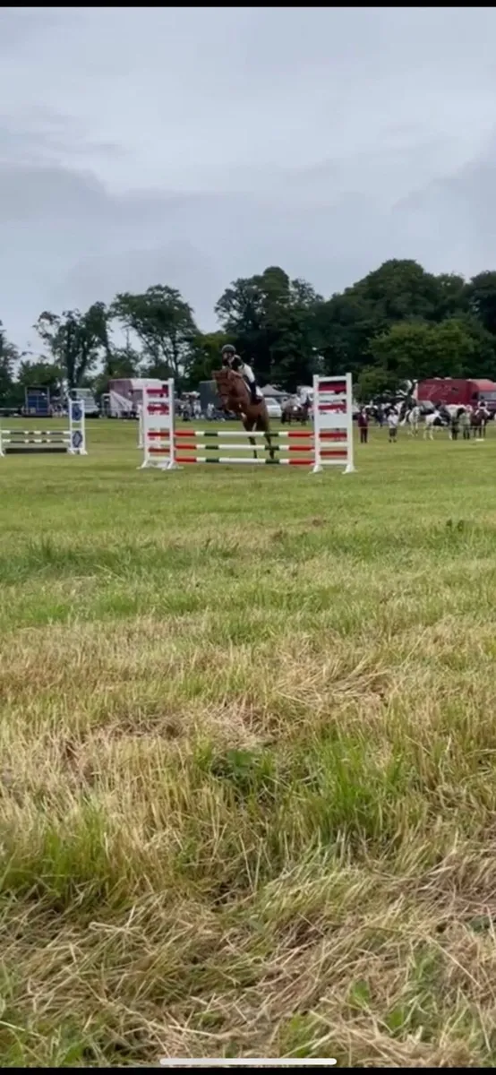 Smashing allrounder - Image 1