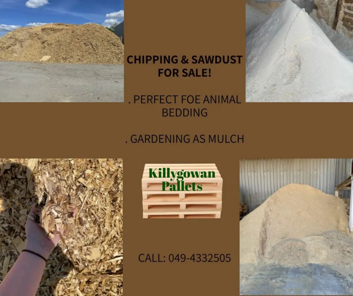 Fresh Sawdust and chippings