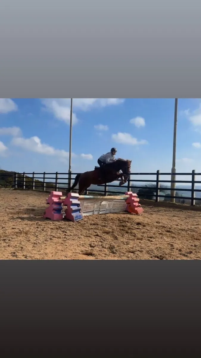 Smashing allrounder - Image 2