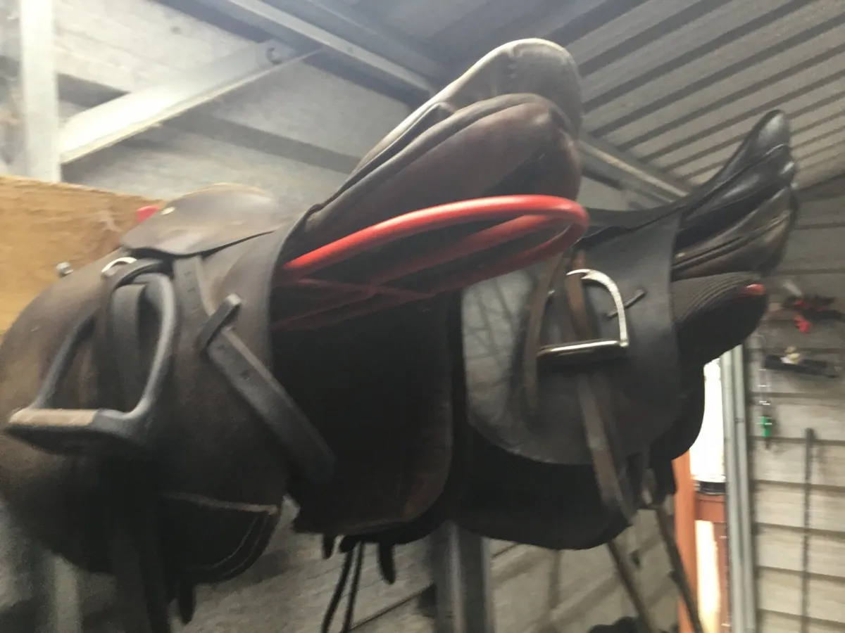 Horse Tackling - Image 3