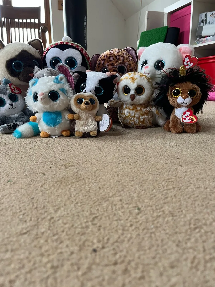 Beanie Boos - Image 1