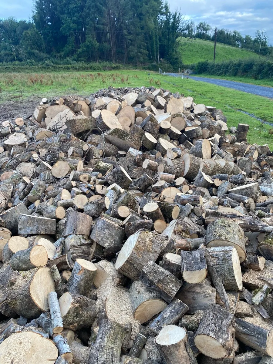 FIREWOOD - Image 1