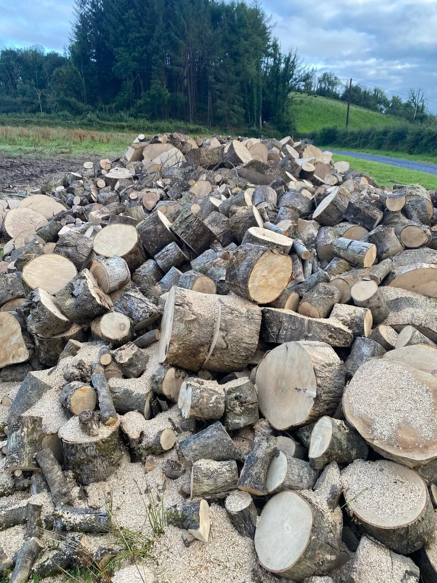 FIREWOOD - Image 2