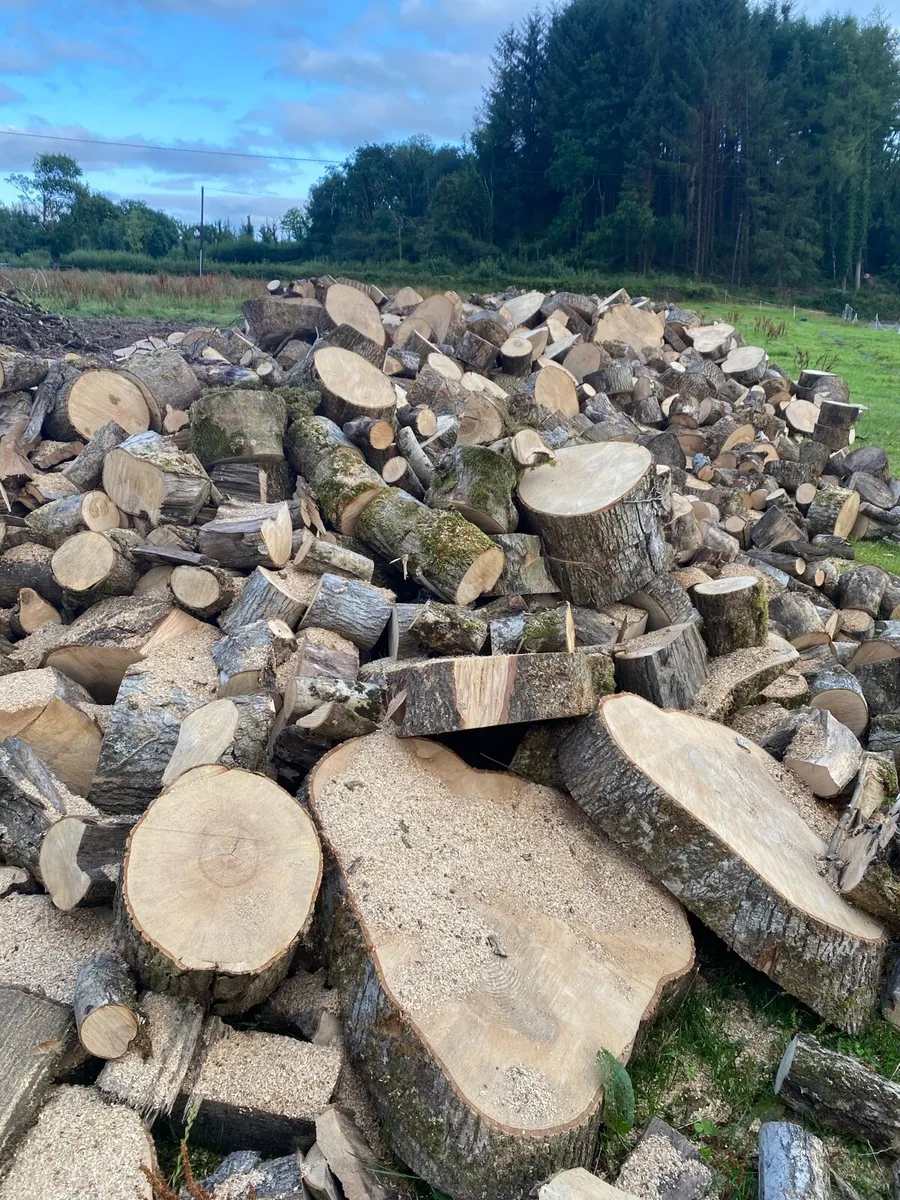 FIREWOOD - Image 3