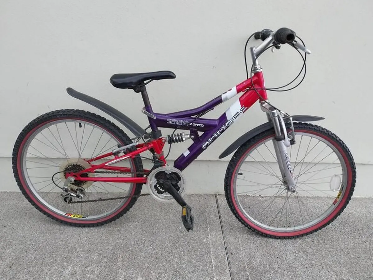 Mountain Bike