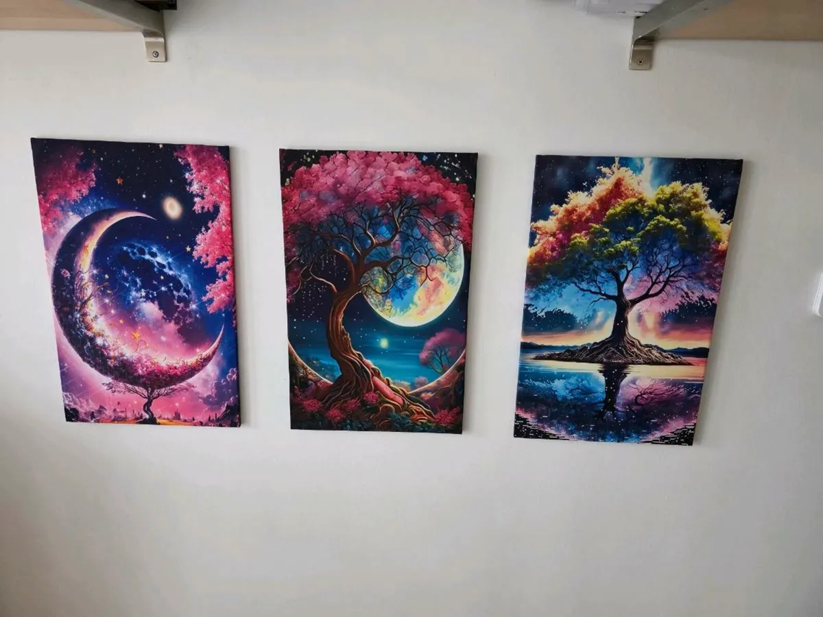 3 canvas 35cmx55cm each - Image 2