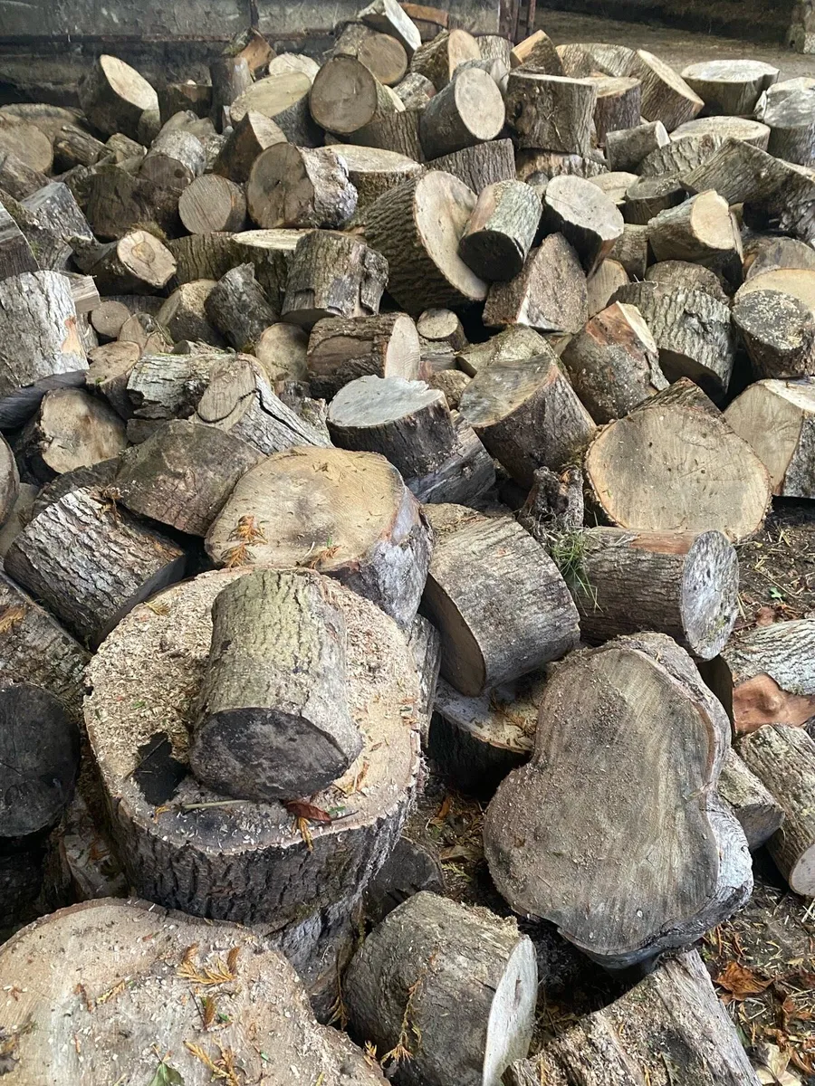 FIREWOOD - Image 4
