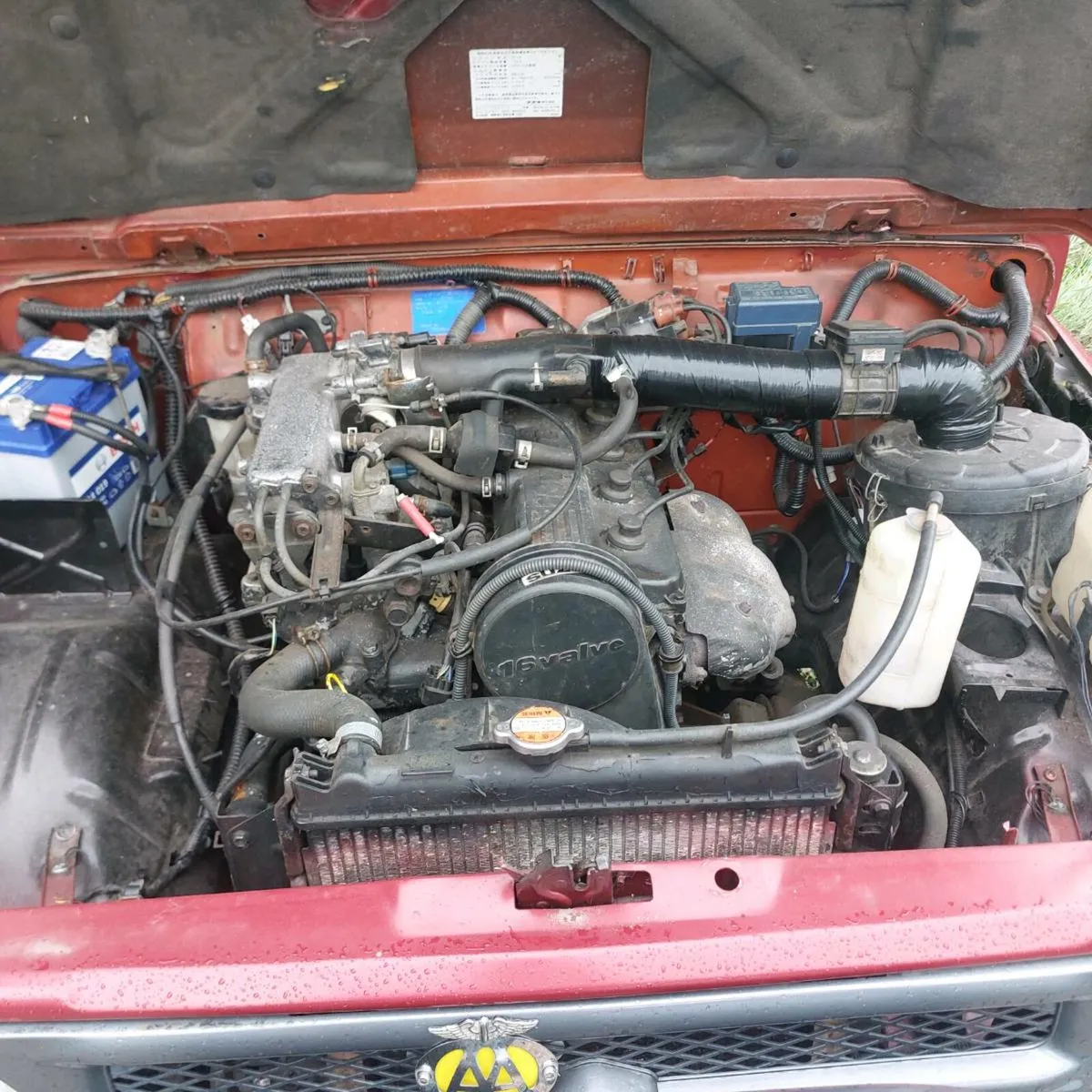 Suzuki - Image 2