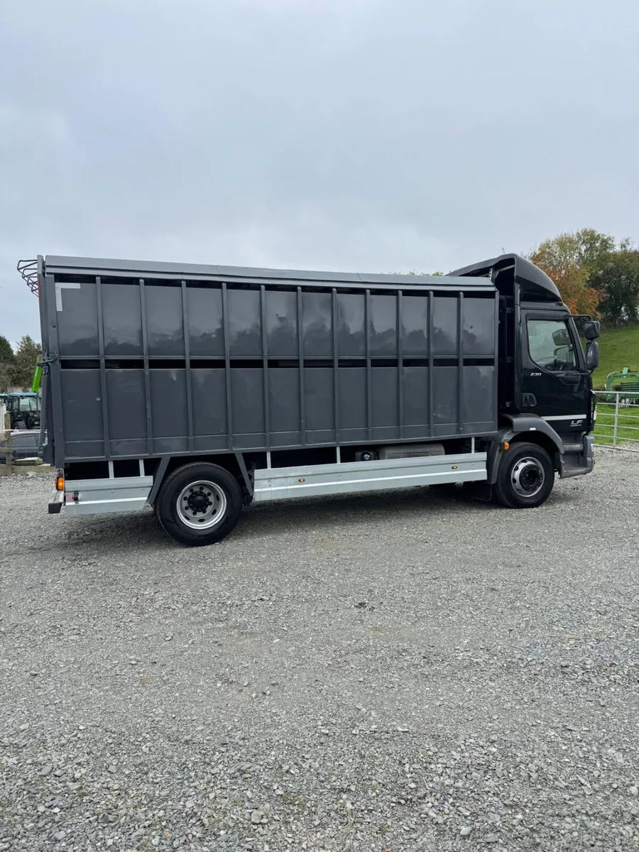Daf cattle lorry - Image 1