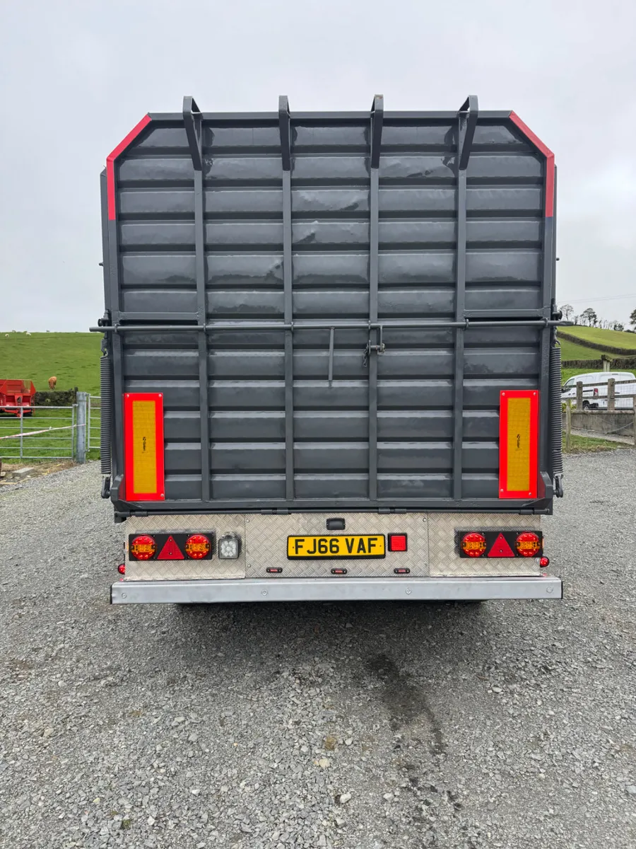 Daf cattle lorry - Image 2