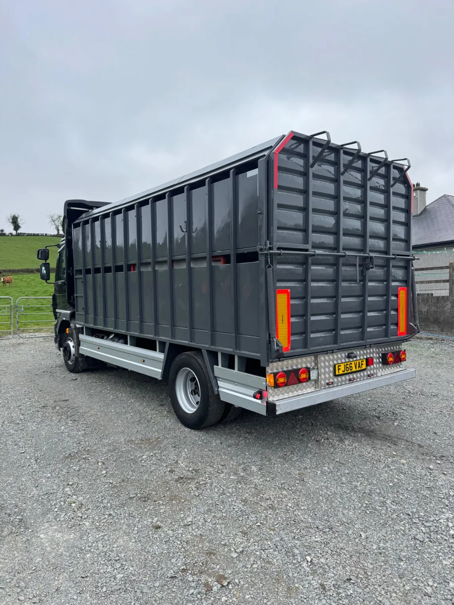 Daf cattle lorry - Image 3