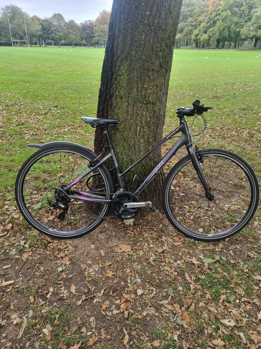 Giant bicycle - Image 2