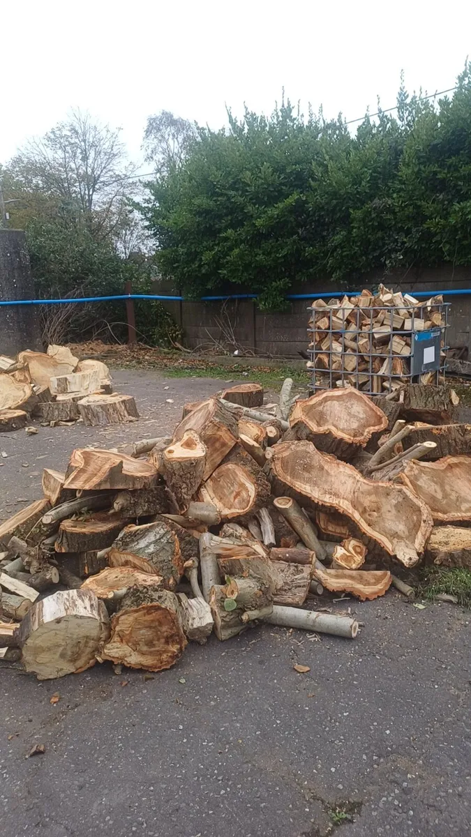 Hardwood firewood - Image 2
