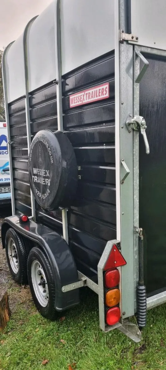 HORSE BOX - Image 3