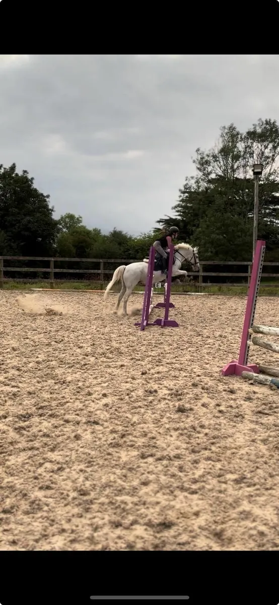 128 Allrounder Pony - Image 2