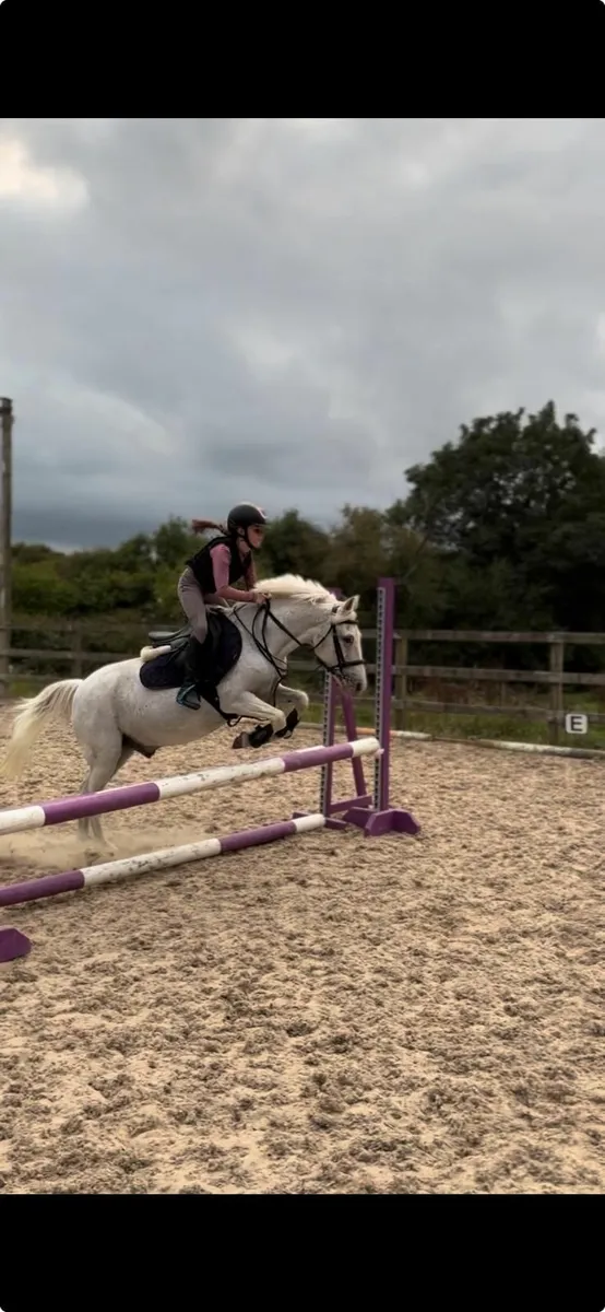 128 Allrounder Pony - Image 3