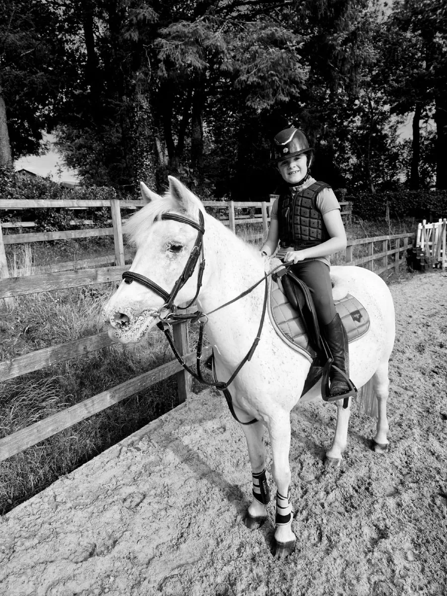 128 Allrounder Pony - Image 4