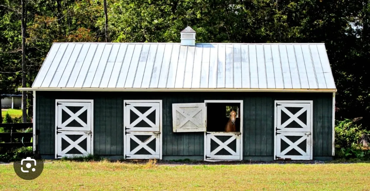 Looking for Stable yard/shed
