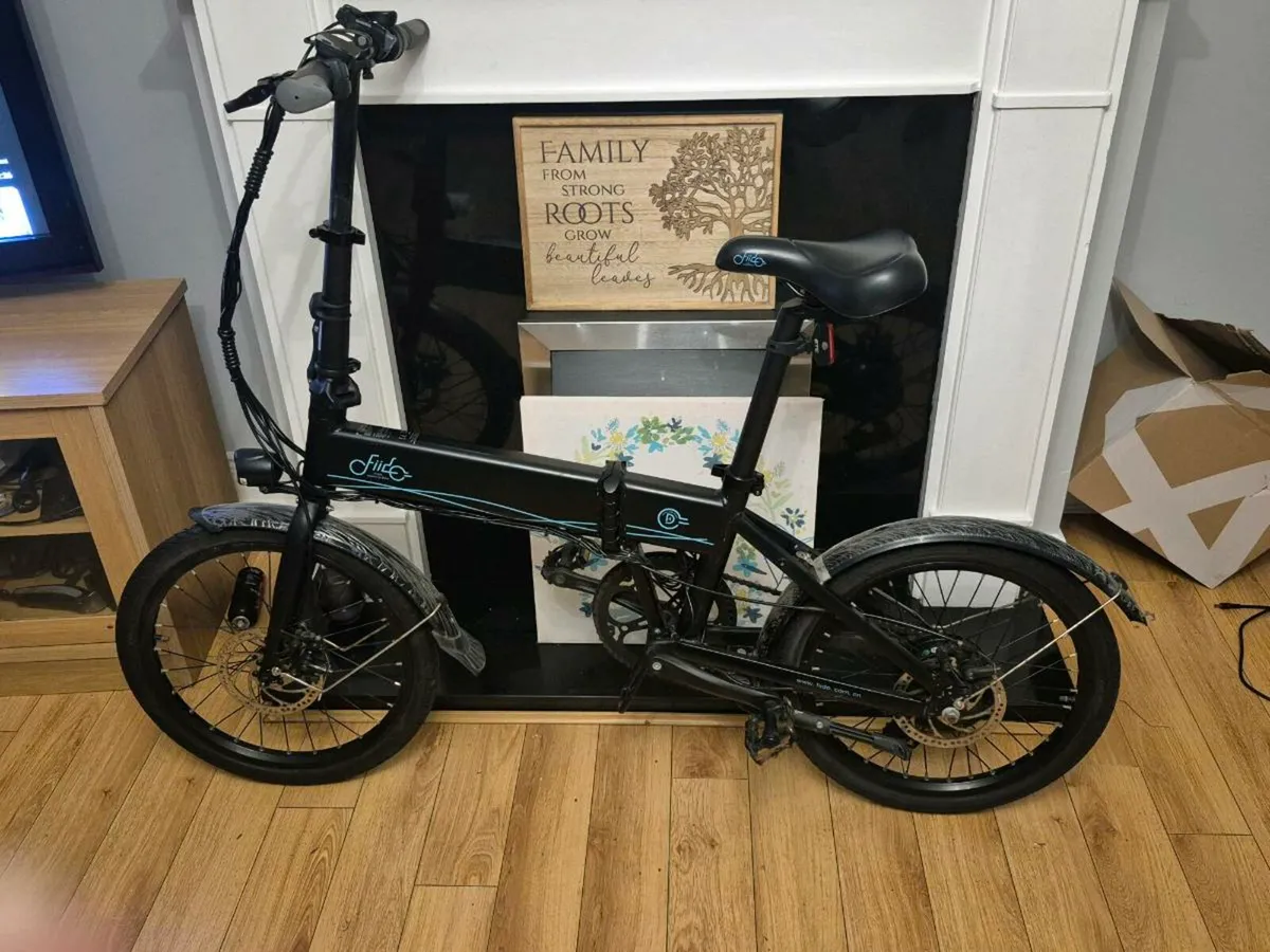 Electric bicycle - Image 2