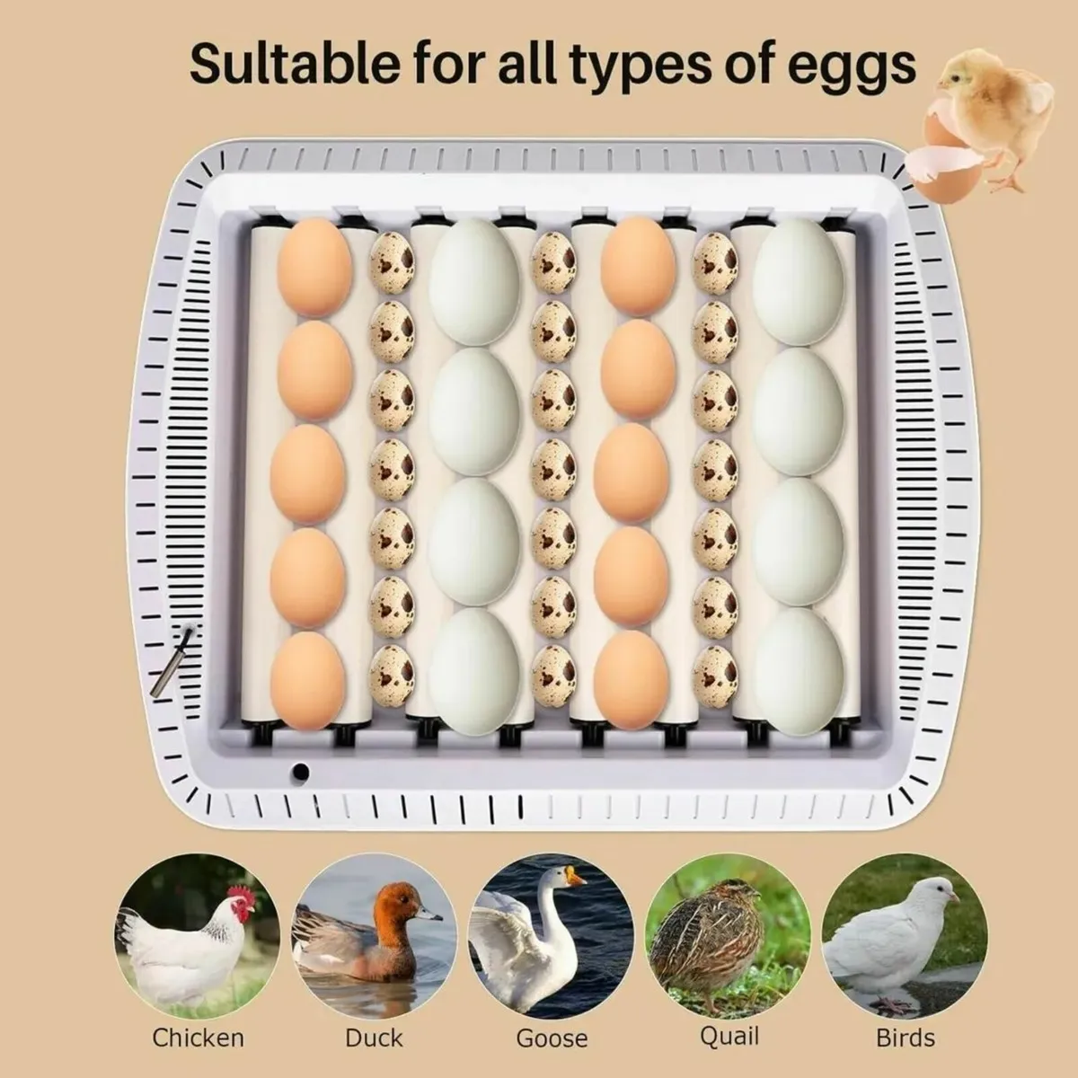 35 Egg Incubator Automatic Turning Temp Control - Image 2