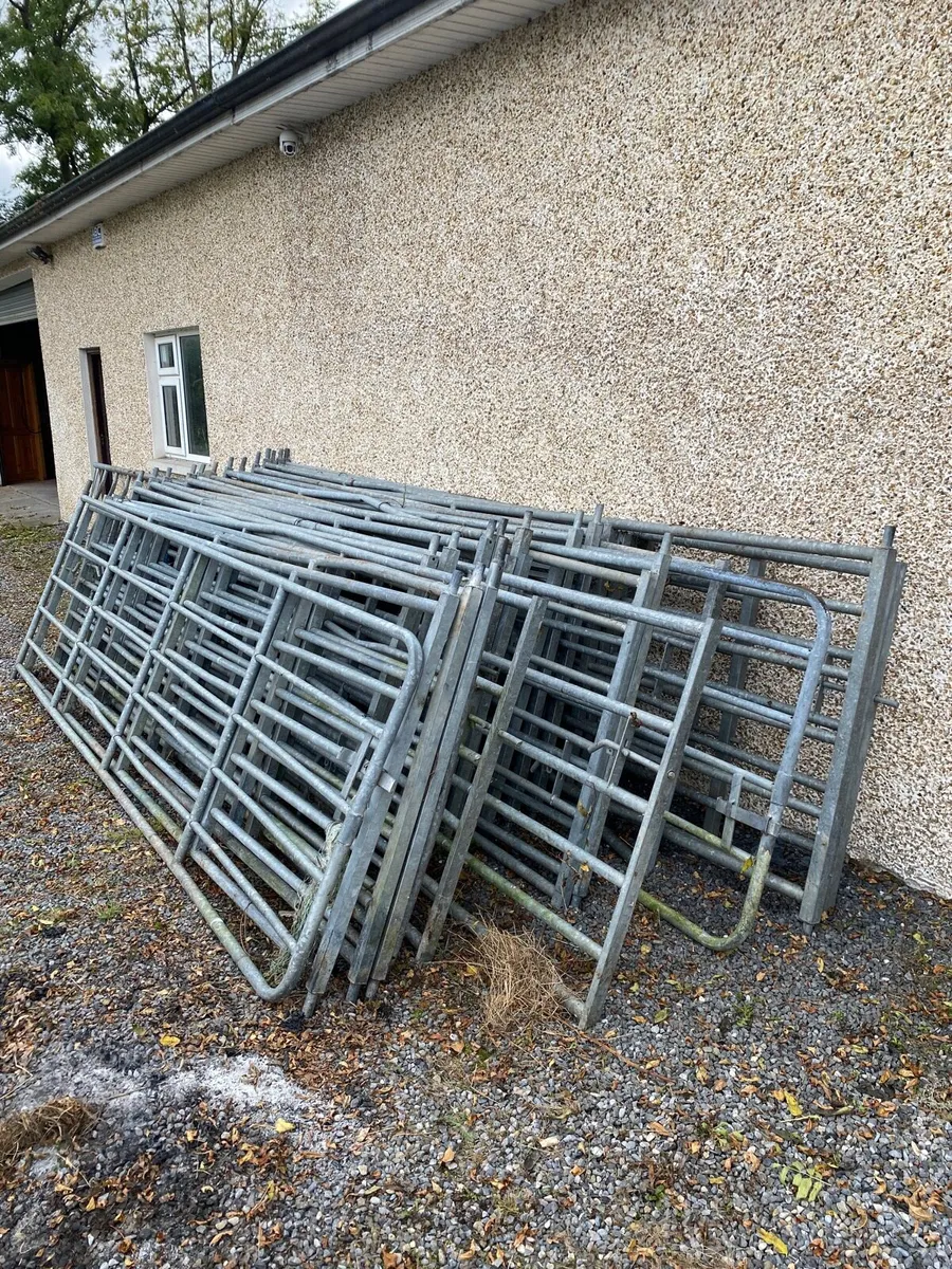 Galvanised farm gates - Image 1