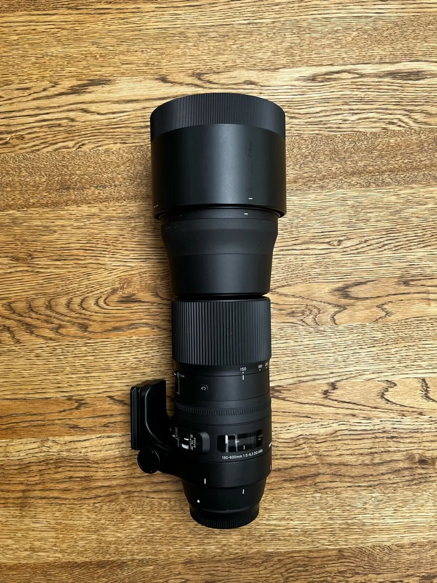 Sigma 150-600mm f5-6.3 (Canon EF Mount) - Image 2