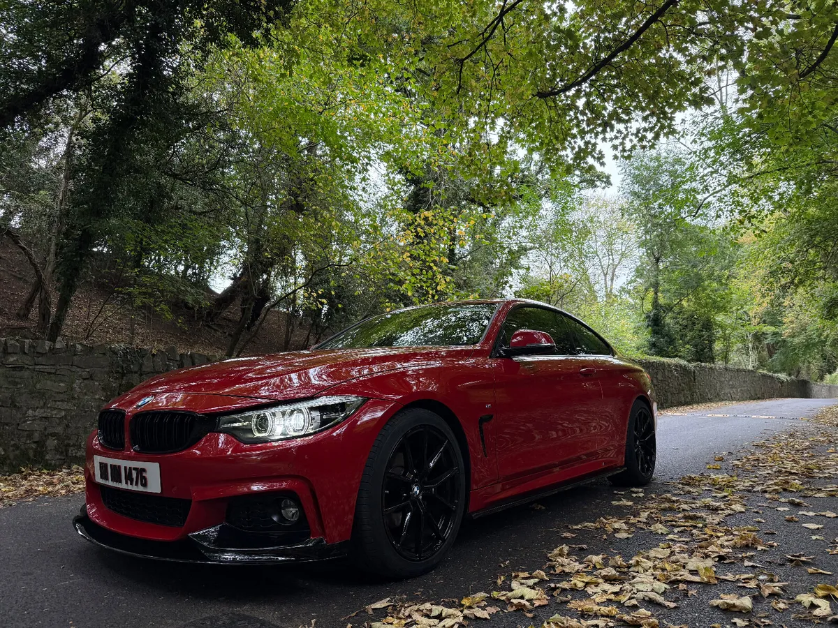 2018 BMW 420i Petrol Auto M-Sport - Image 2