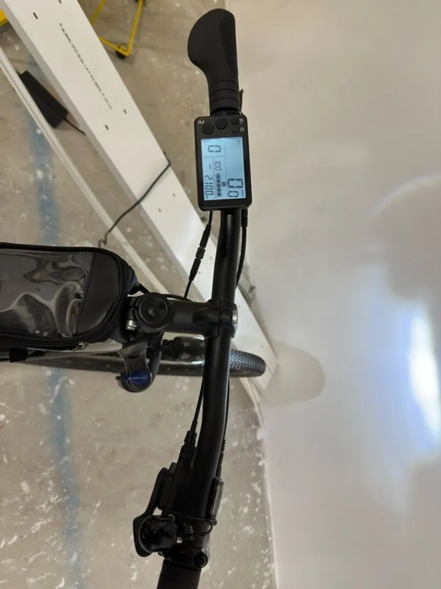 e bike - Image 3