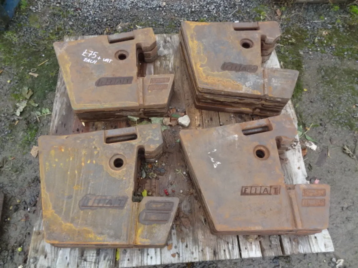 Fiat 50kg tractor Weight slices - Image 1