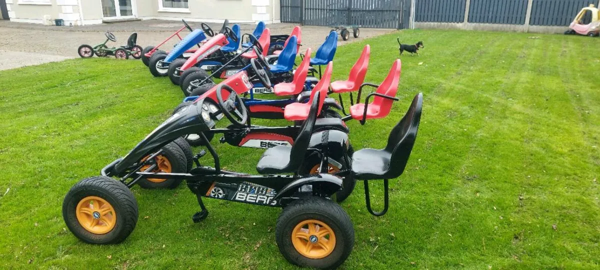 Berg Karts - Image 2