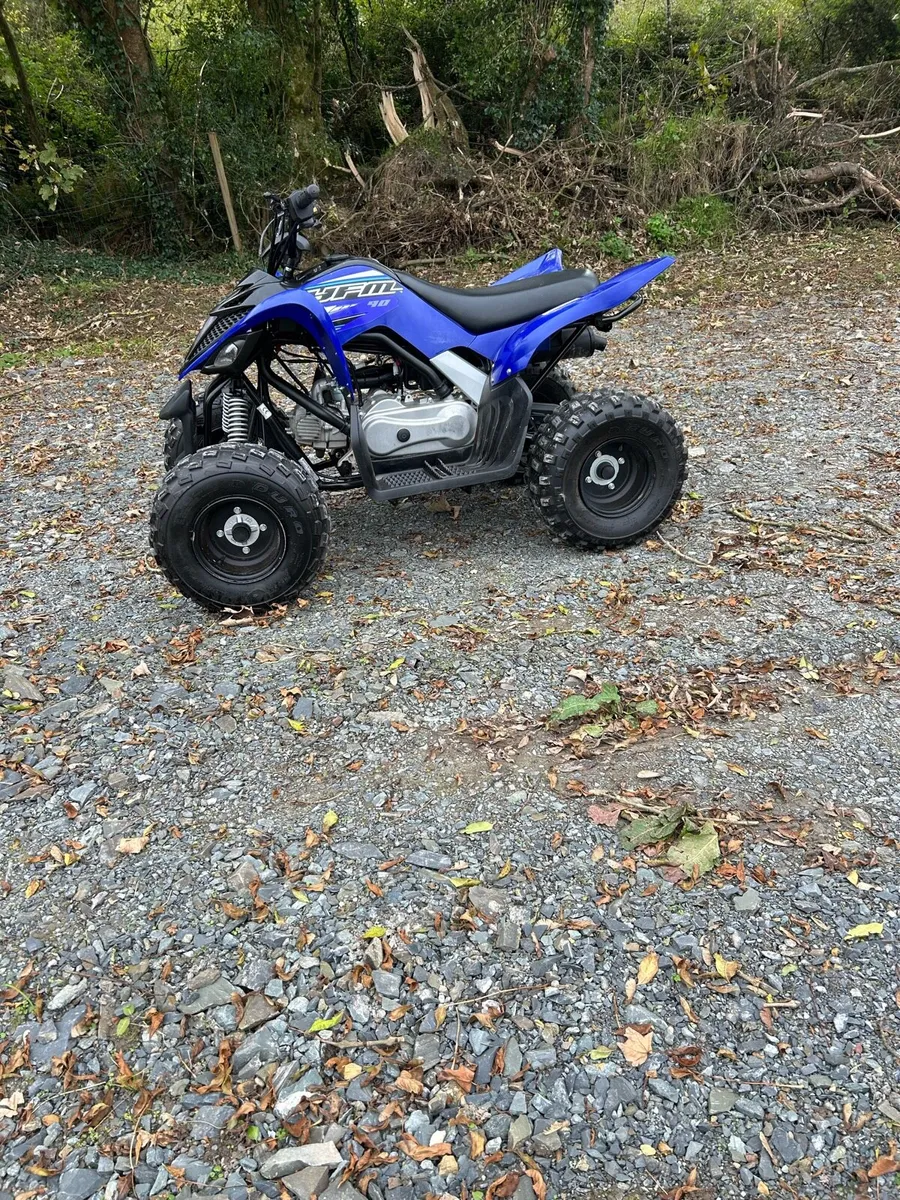 Mint Yamaha yfm 90 cc quad bike - Image 1