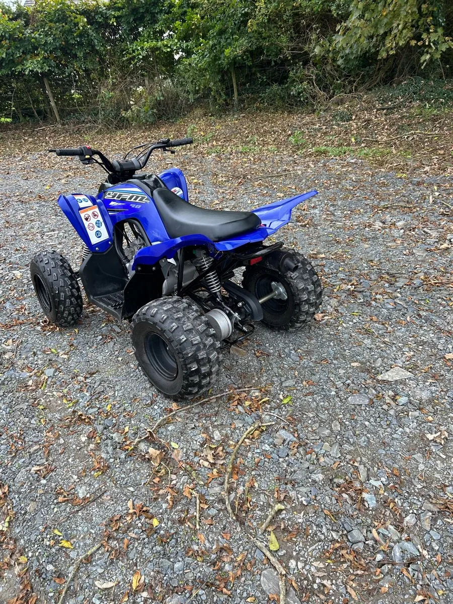 Mint Yamaha yfm 90 cc quad bike - Image 2