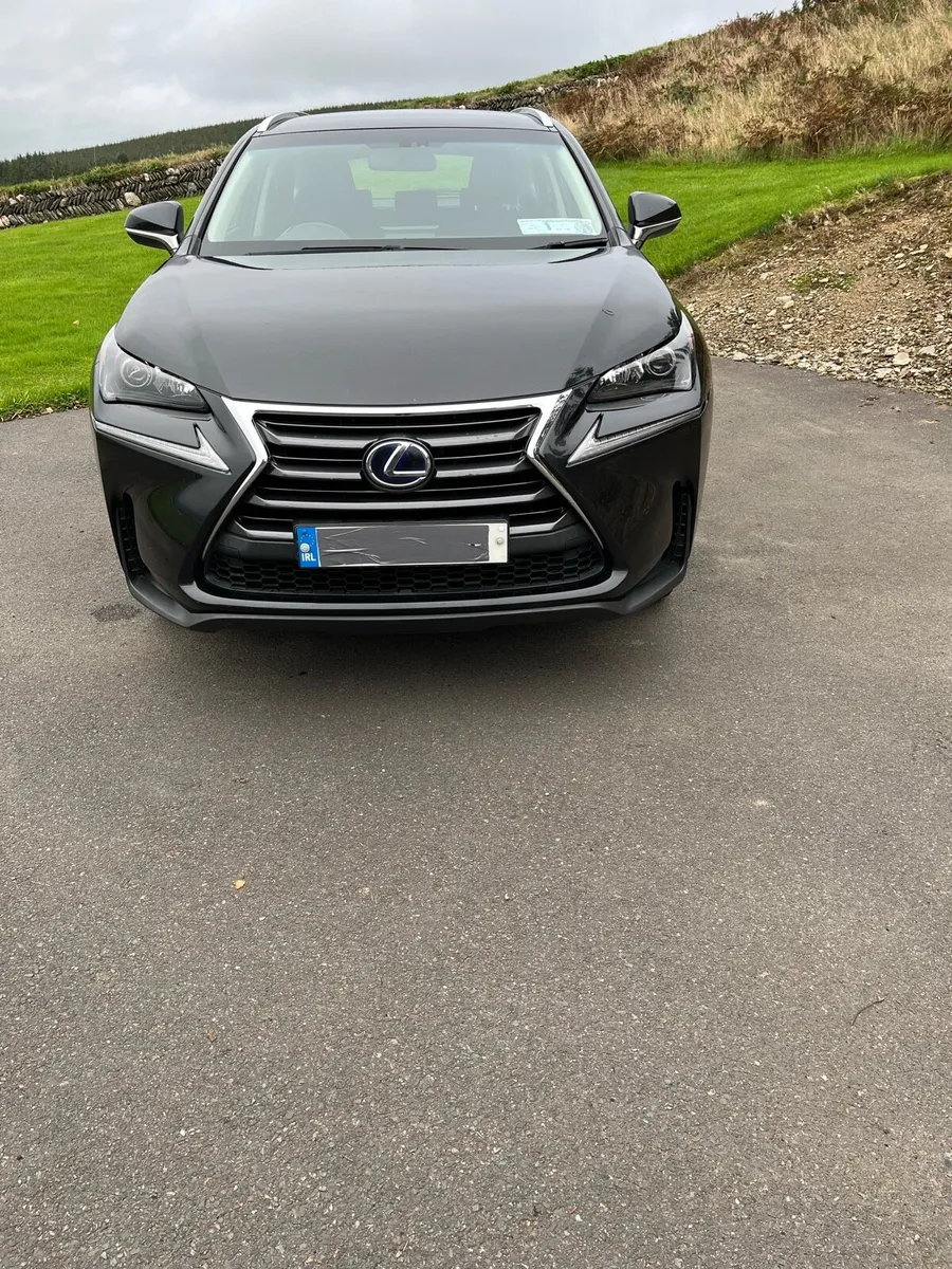 Lexus NX - Image 1