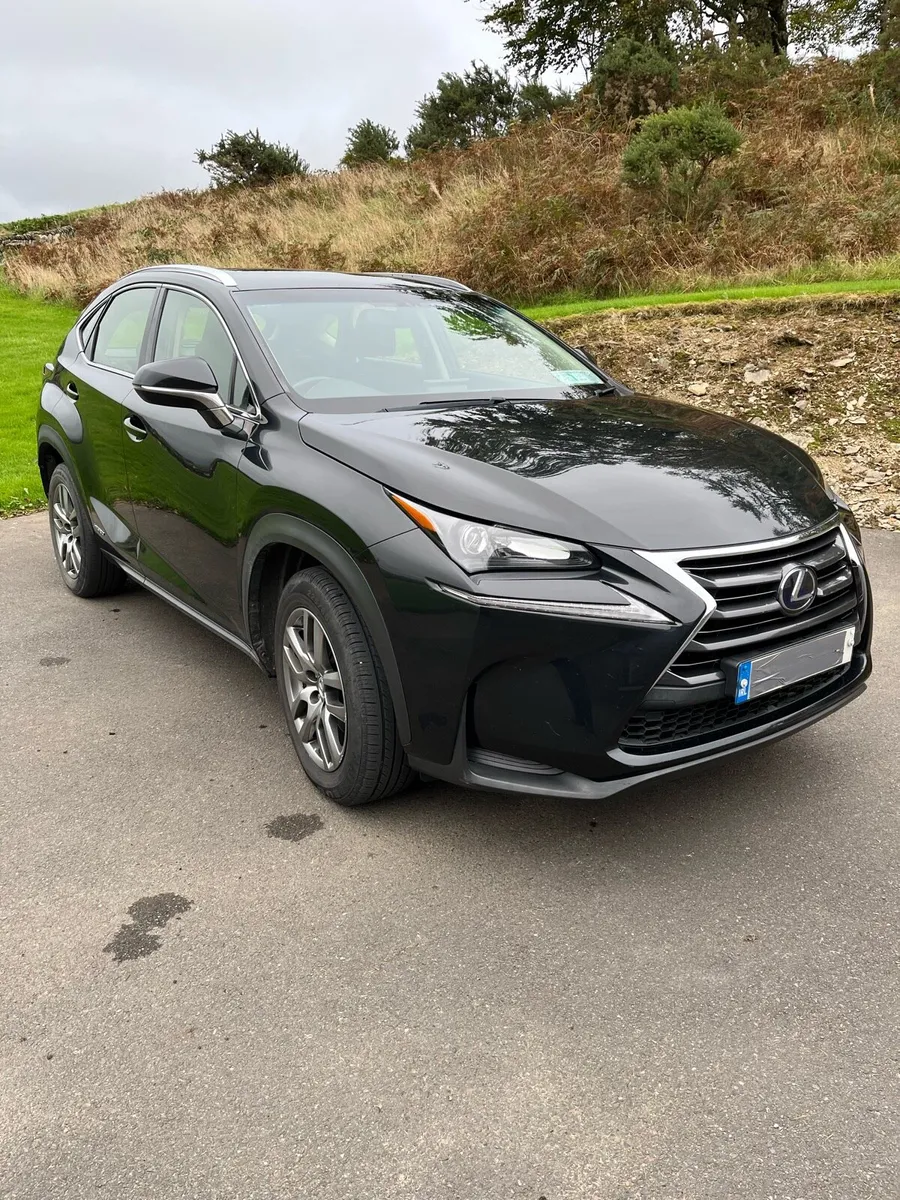 Lexus NX - Image 2