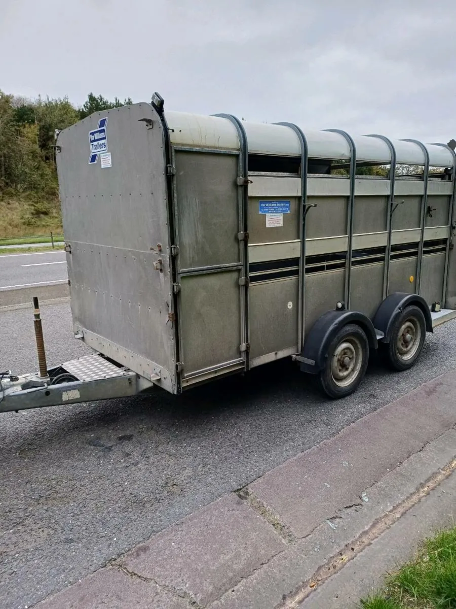 Ifor williams 12ft  c/w sheep decks - Image 2