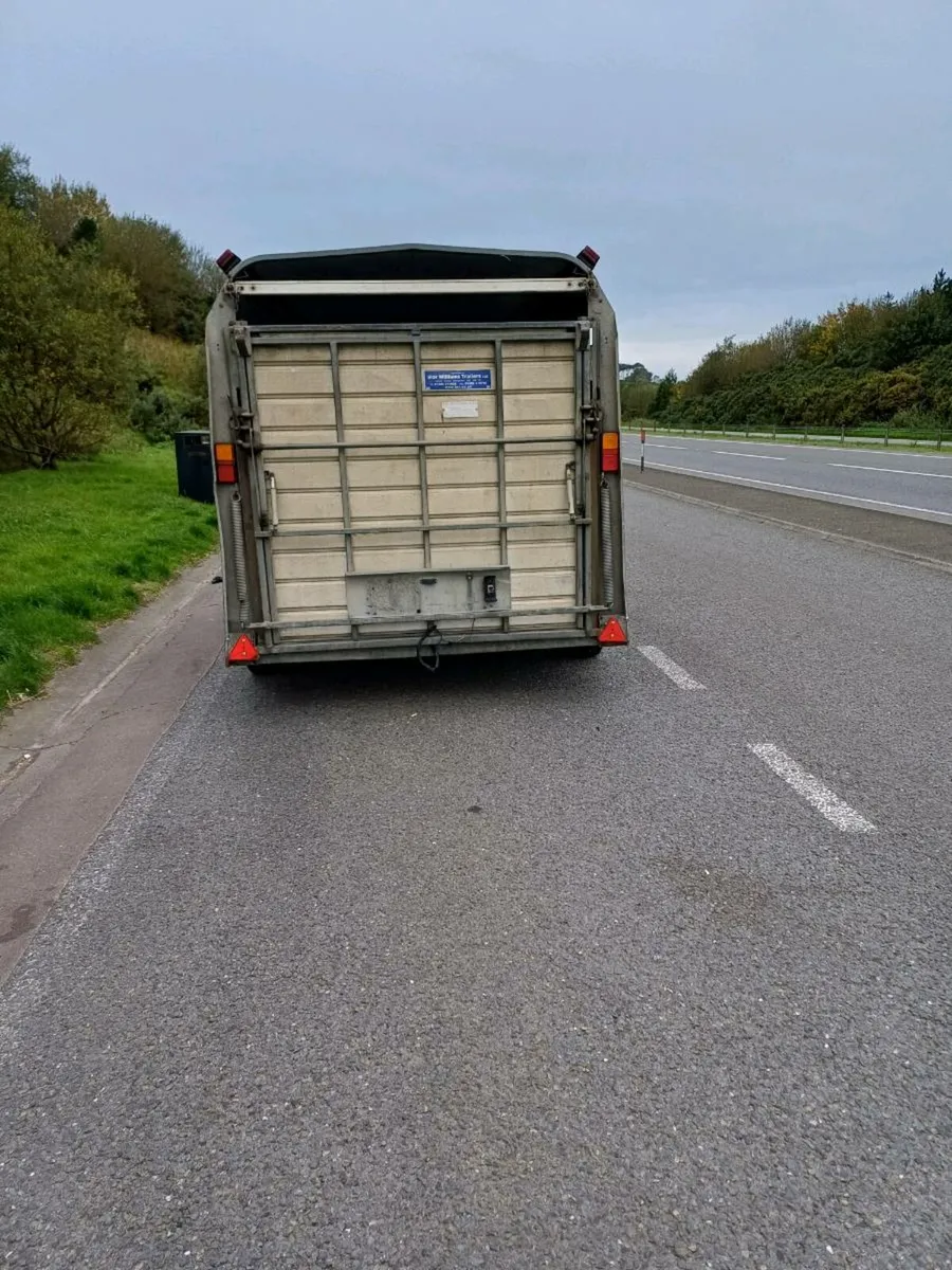 Ifor williams 12ft  c/w sheep decks - Image 3