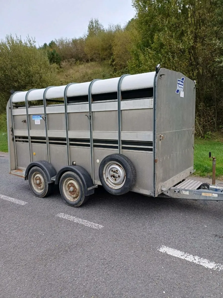 Ifor williams 12ft  c/w sheep decks - Image 1