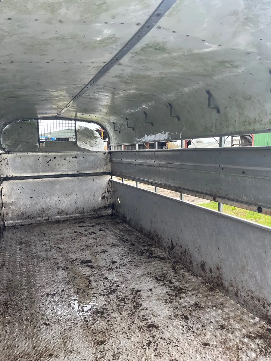 14ft nugent - Image 2