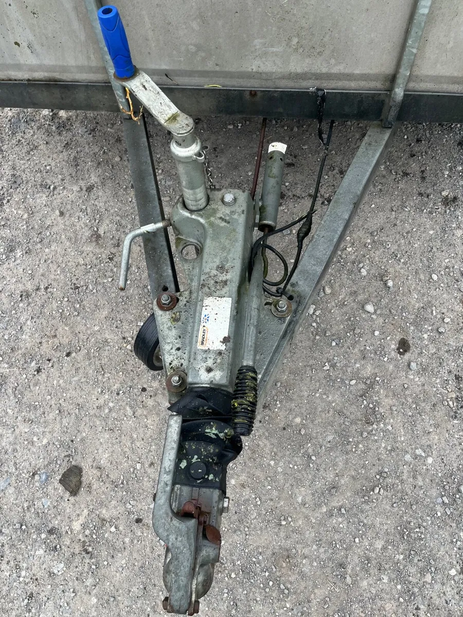 14ft nugent - Image 4