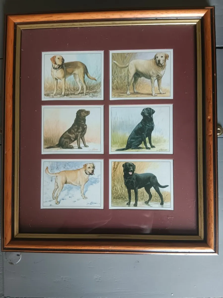 Cigarette cards - Image 1