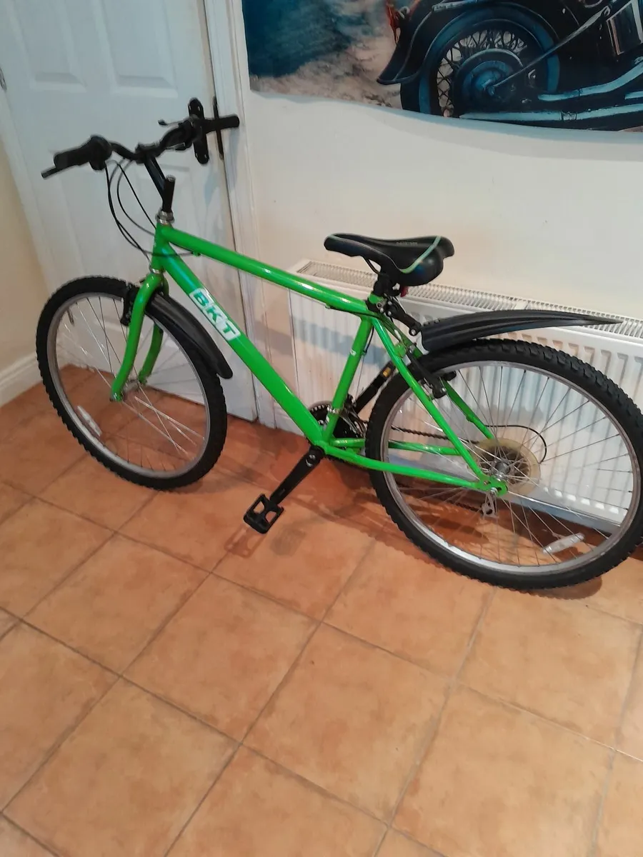 Bicycle - Image 1