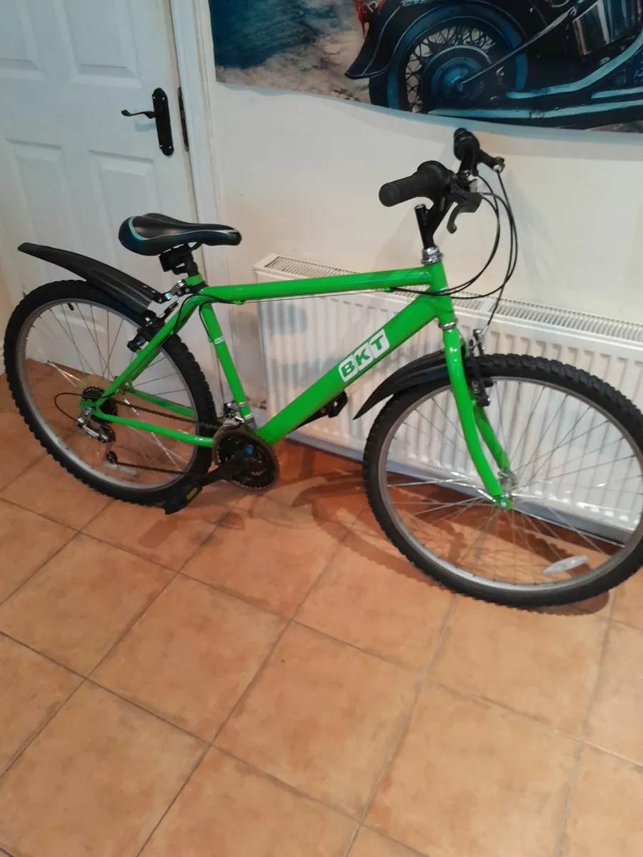 Bicycle - Image 4