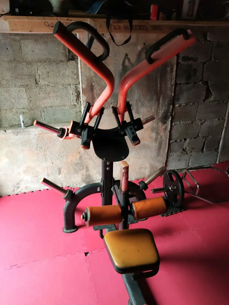 Seated Dip Machine - Image 1