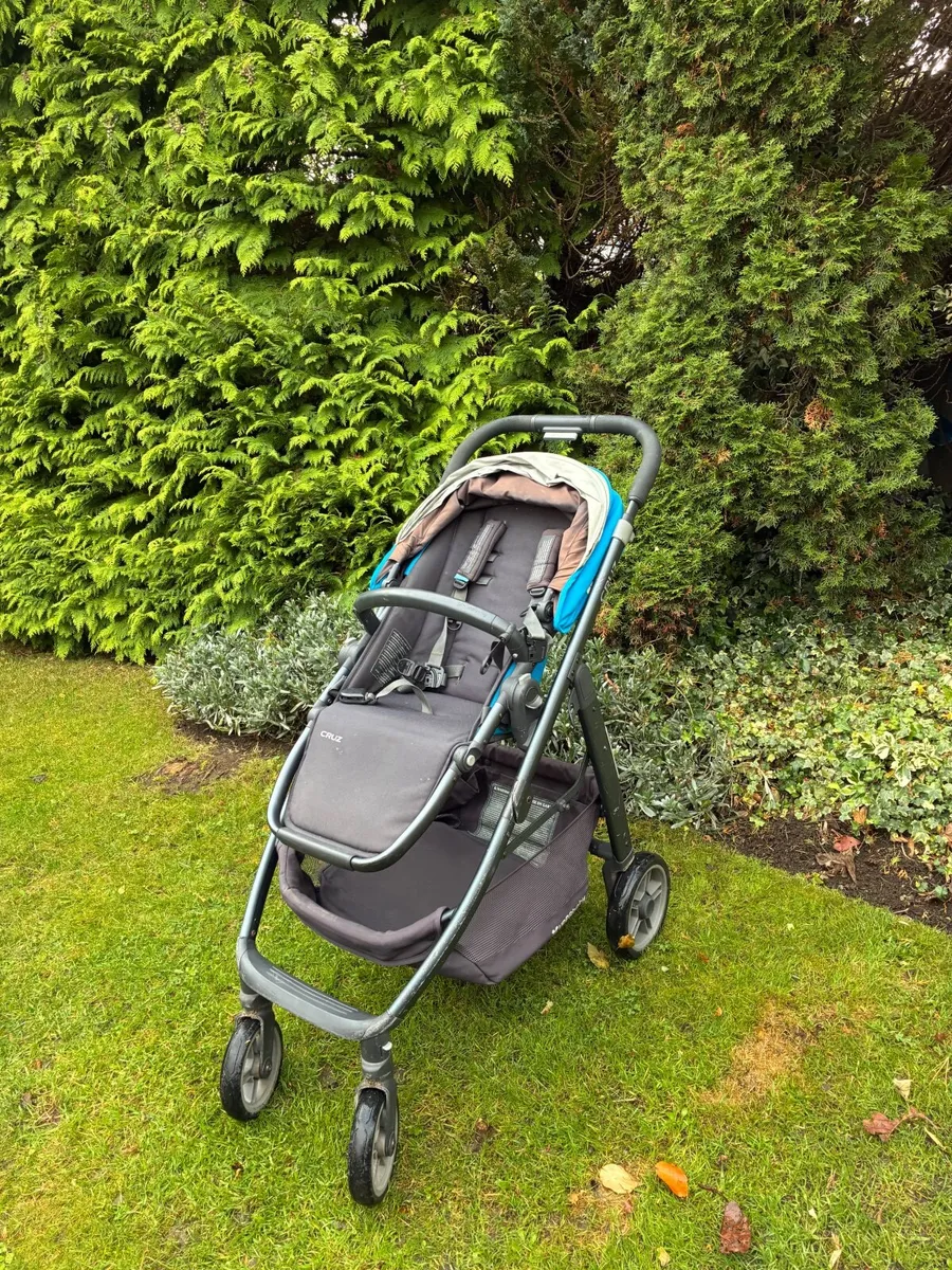 Buggy - Image 3