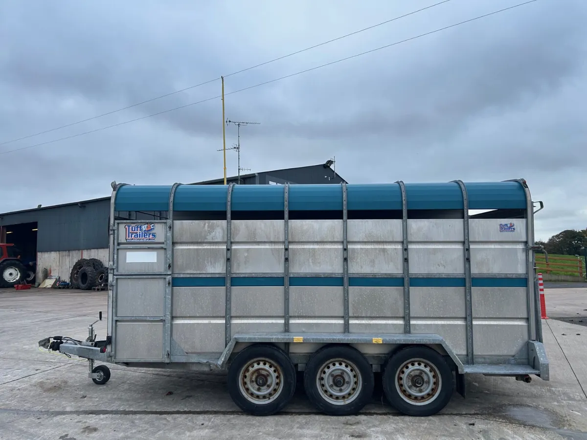 2015 Tuff Mac 14x6 Tri-Axle - Image 3