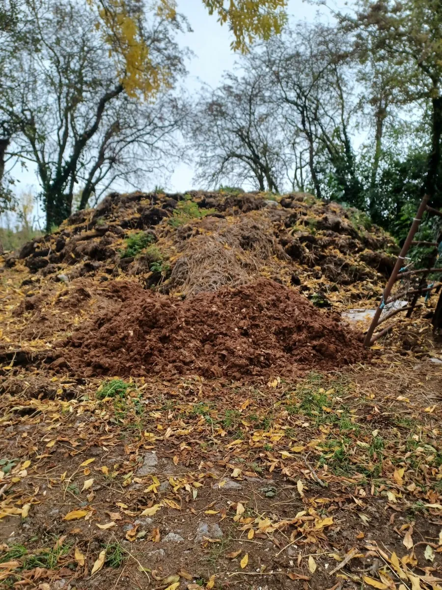 Free horse manure - Image 1