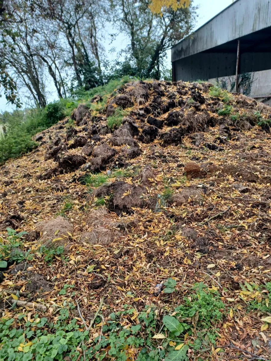 Free horse manure - Image 2