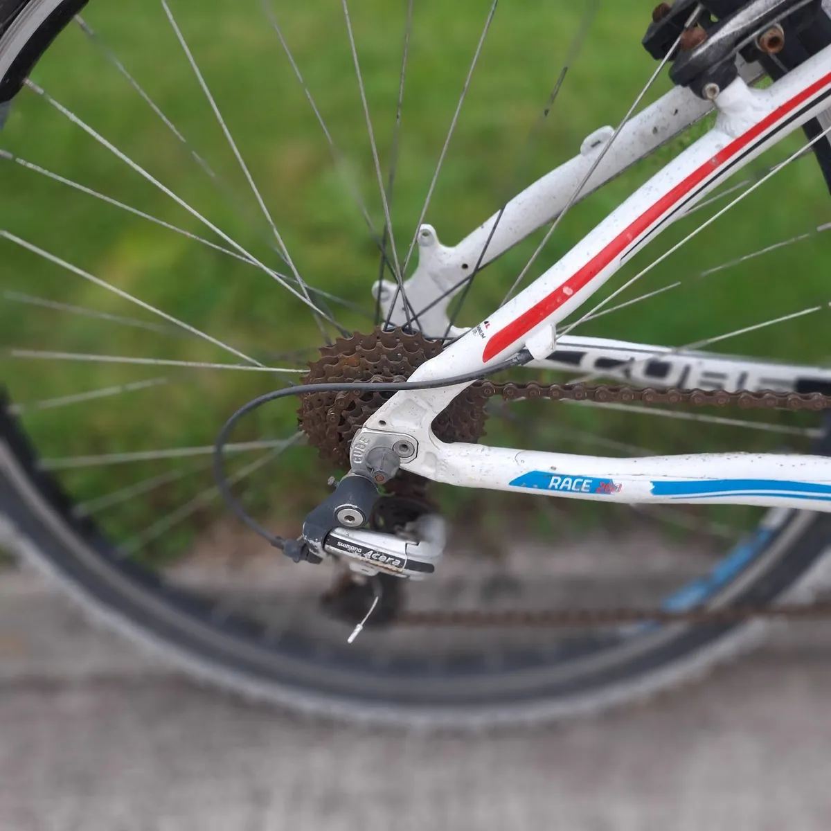 Bicycle - Image 1